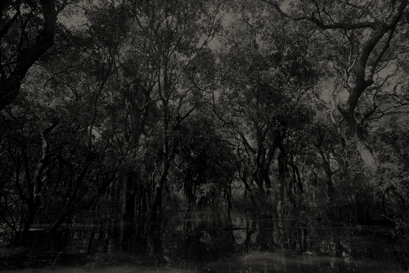Flooded Forest
