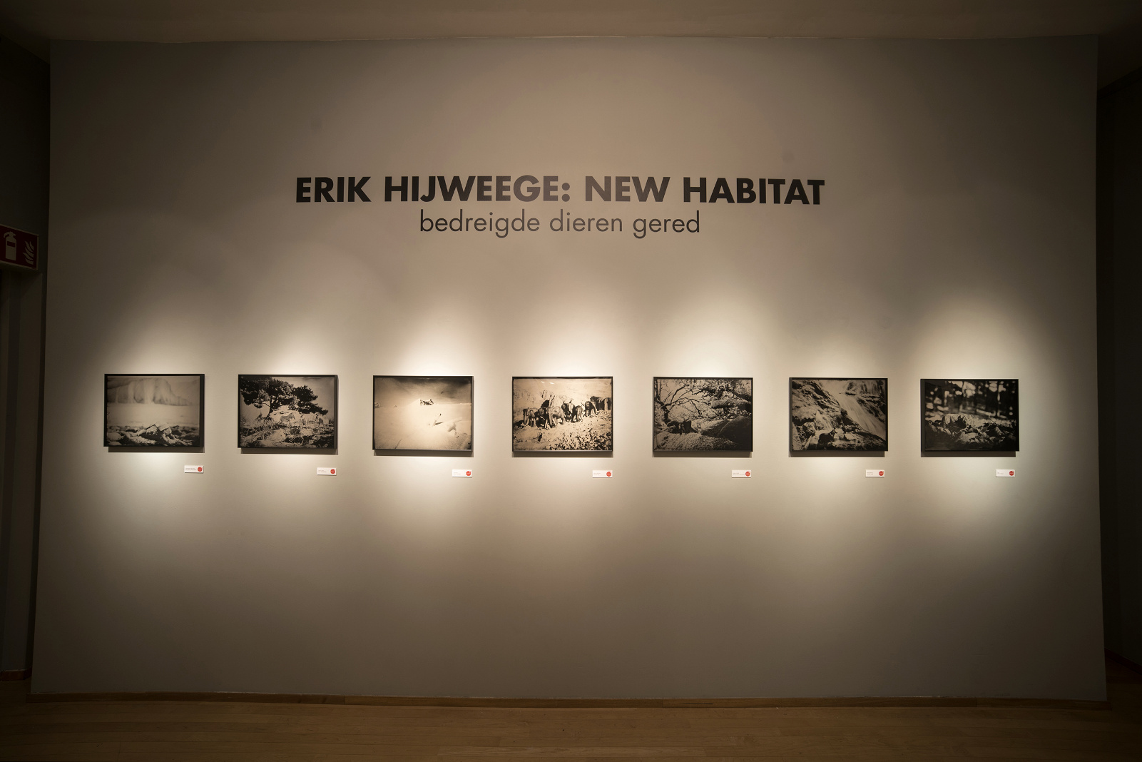  Natural History Museum